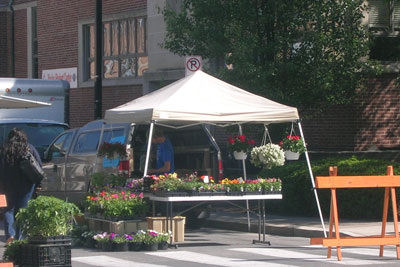 state college farmers market